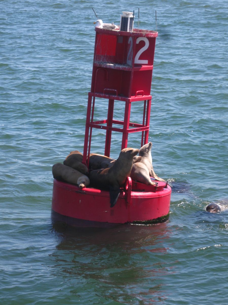 An afternoon in Long BEach with Bunnaford and Pete