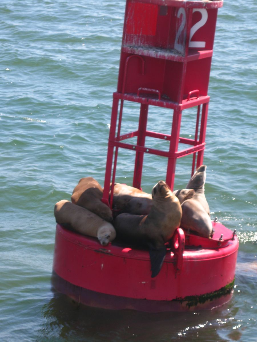 An afternoon in Long BEach with Bunnaford and Pete