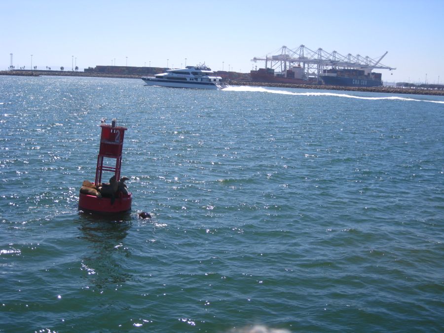 An afternoon in Long BEach with Bunnaford and Pete