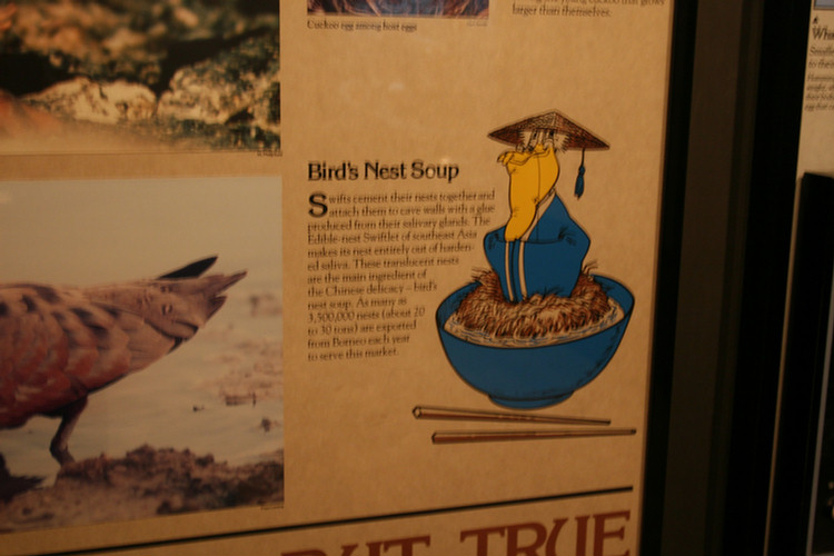 Hall Of Birds LA Natural History Museum