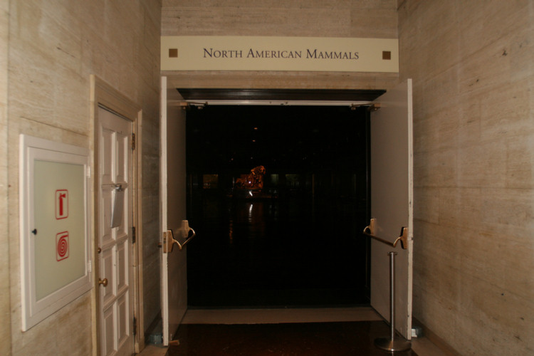 Hall Of North American Mamals