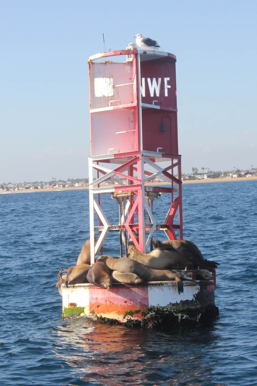 An afternoon on the water in Newport Beach 10/20/2015