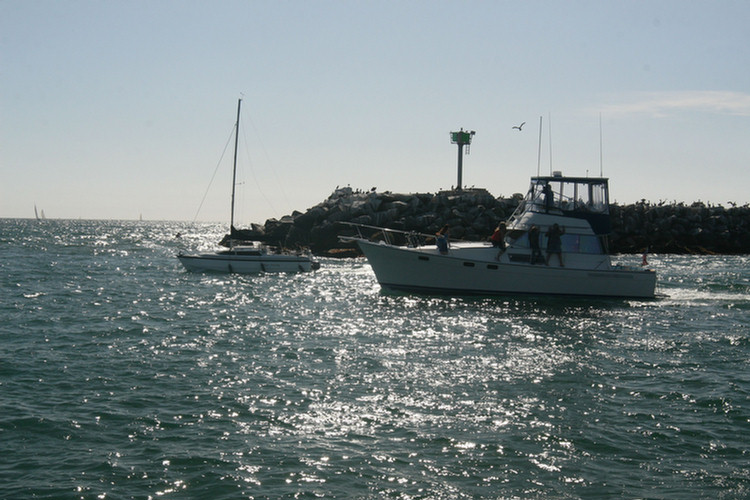 Dana Point Whale Watch 3/14/2010