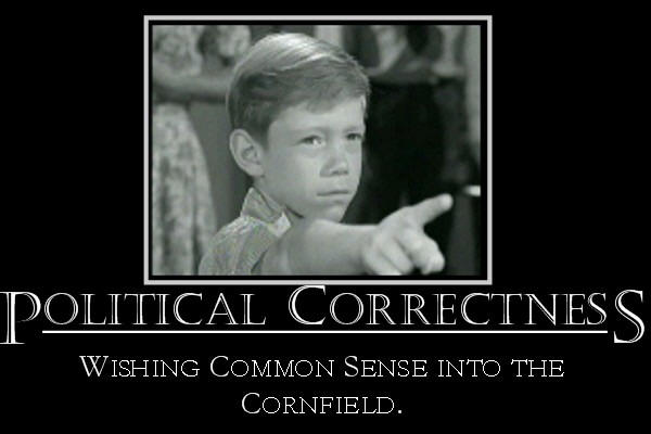 Political correctness my arse!