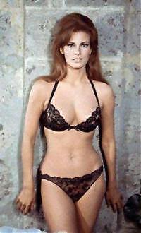 Raquel Welch