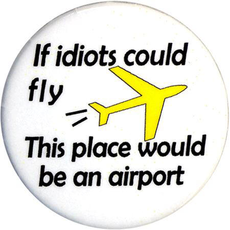 If Idiots Could Fly!