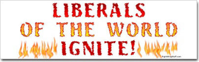 Political Bumperstickers Say It All