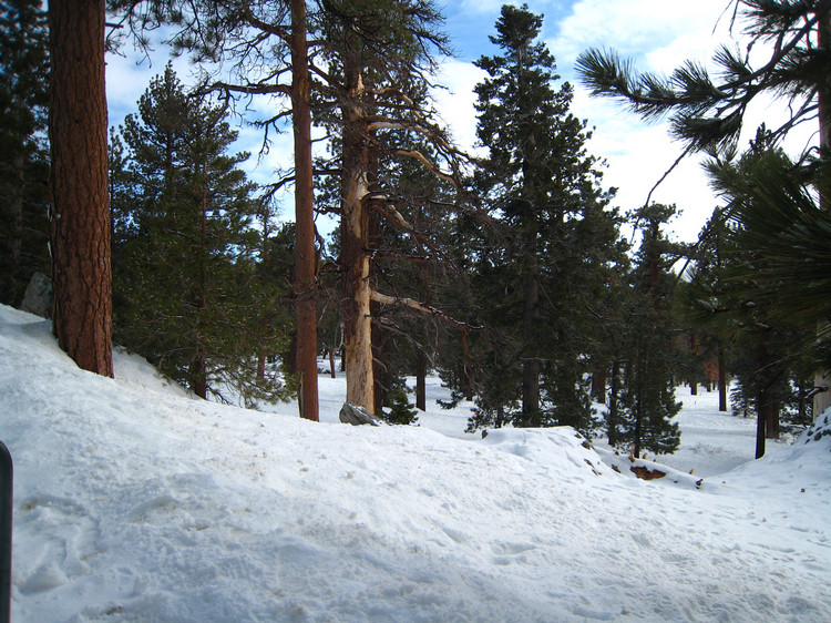 Visiting the snow 1/27/2010