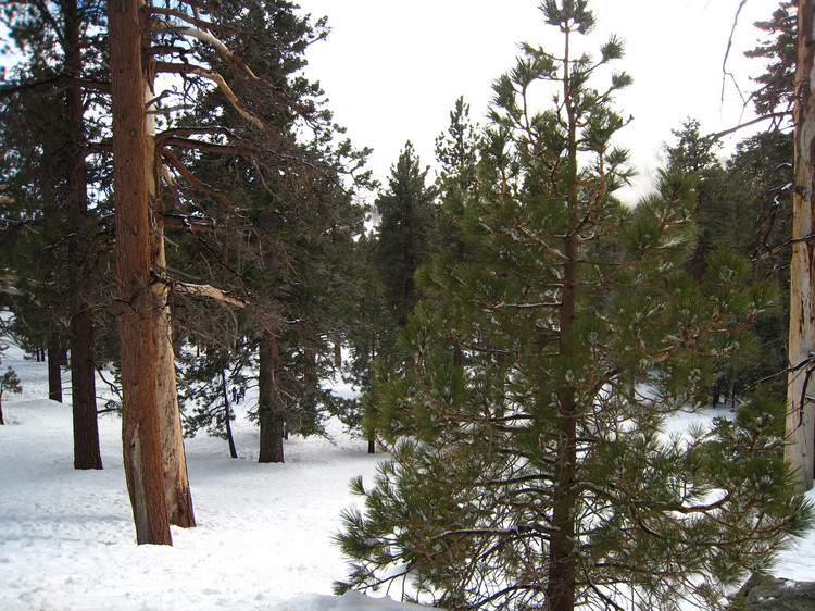 Visiting the snow 1/27/2010