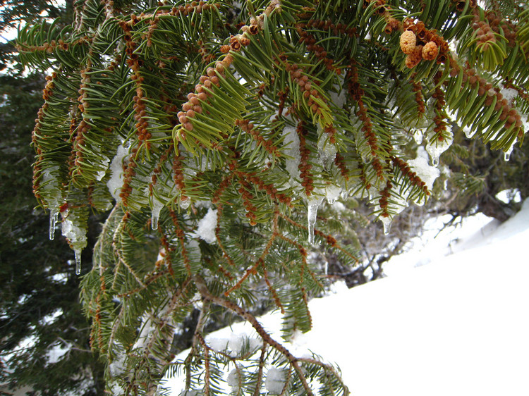 Visiting the snow 1/27/2010