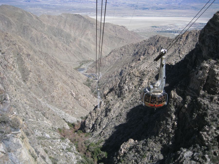 Aerial Tramway with Bunny 3/9/2011