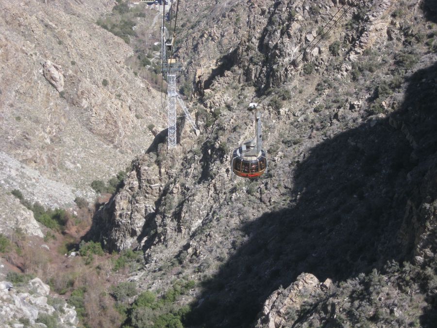 Aerial Tramway with Bunny 3/9/2011