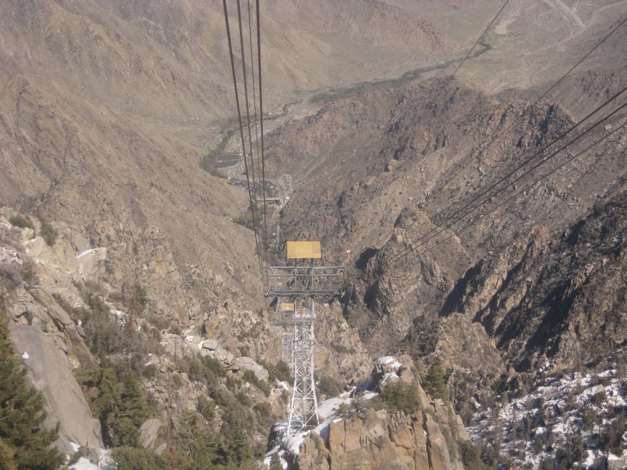 Aerial Tramway with Bunny 3/9/2011