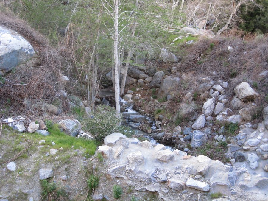 Aerial Tramway with Bunny 3/9/2011