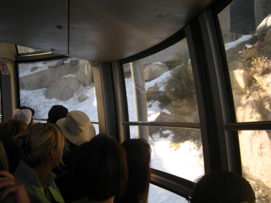 Palm Springs Aerial Tramway 2/5/2015