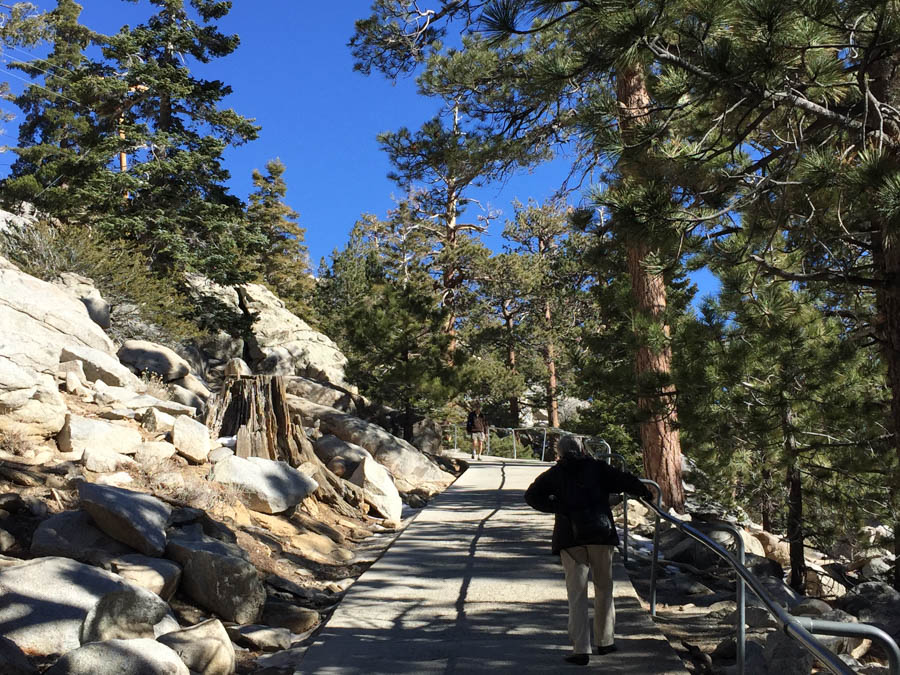 Palm Springs Aerial Tramway 2/5/2015