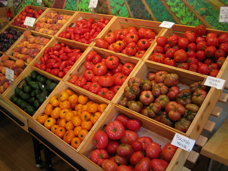 Visiting Diane, 2008 Tomatofest