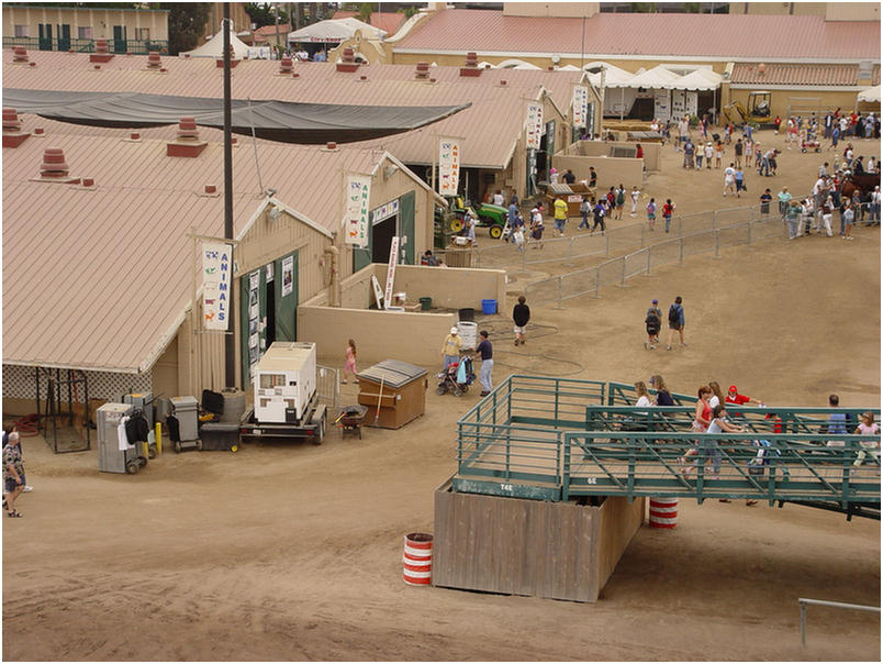 San Diego County Fair 2005