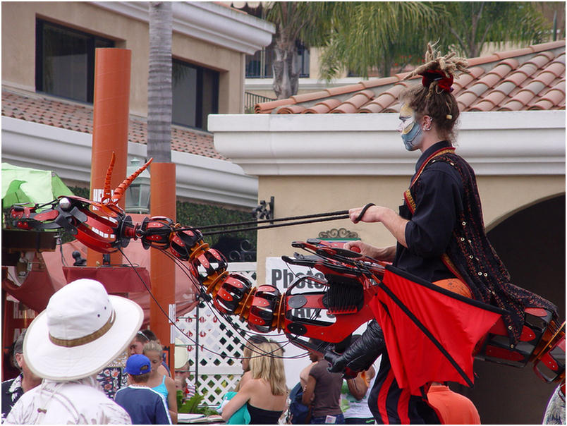 San Diego County Fair 2005