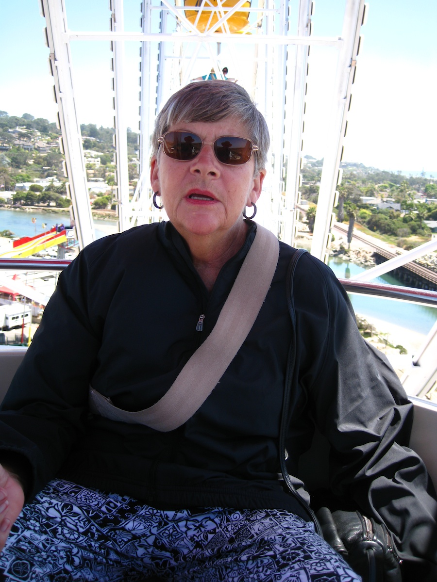 San Diego Fair 2013