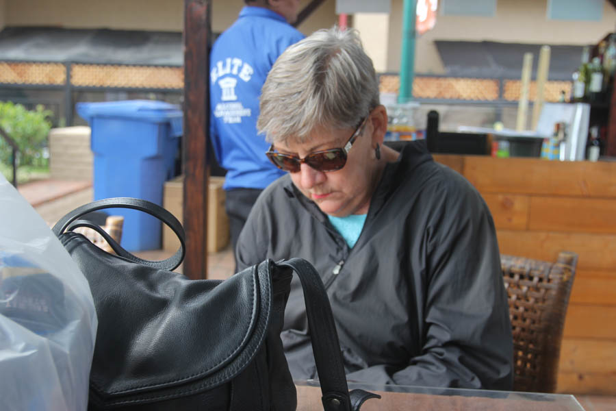 A day at the San Diego Fair 6/11/2015