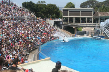 Shamu Show Augut 2010