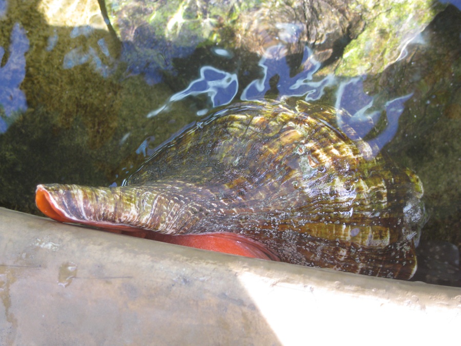 A visit to Sea World July 2014