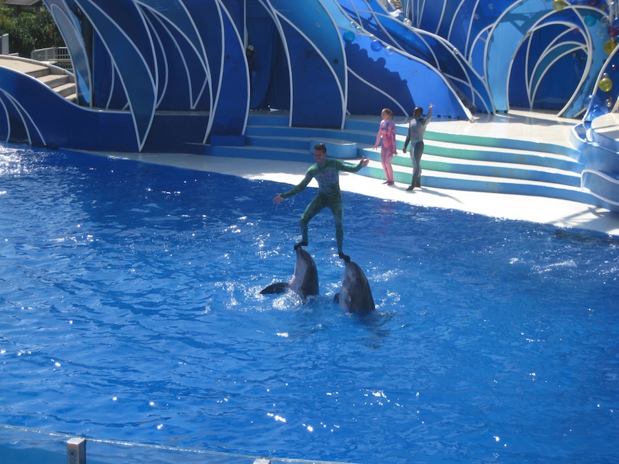 A visit to Sea World July 2014