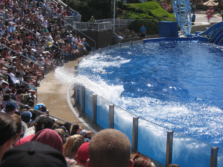 A visit to Sea World July 2014