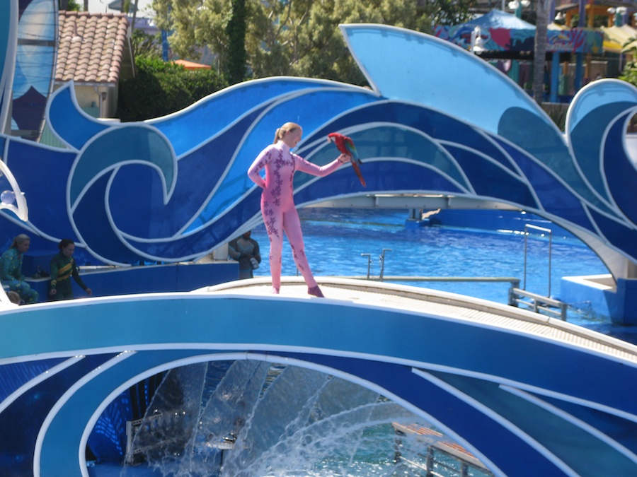 A visit to Sea World July 2014