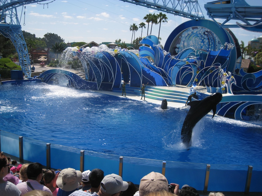 A visit to Sea World July 2014