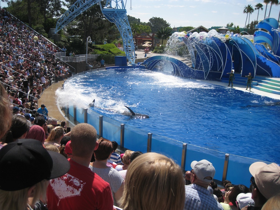 A visit to Sea World July 2014