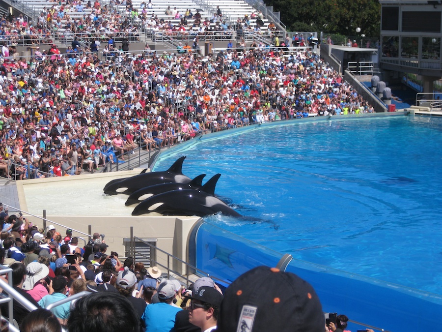 A visit to Sea World July 2014