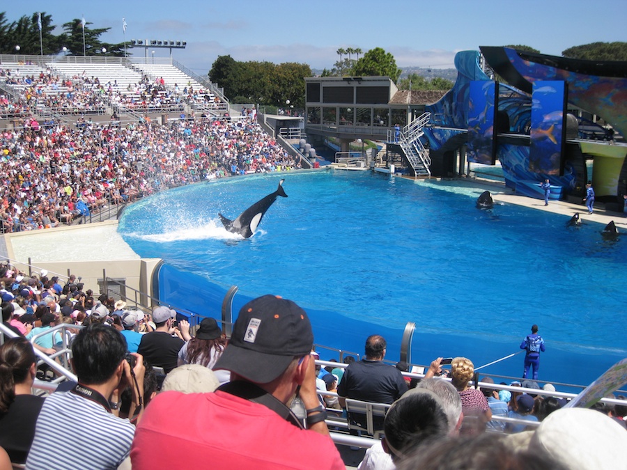 A visit to Sea World July 2014