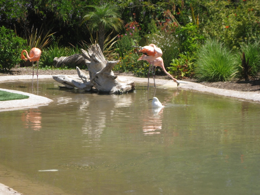 A visit to Sea World July 2014