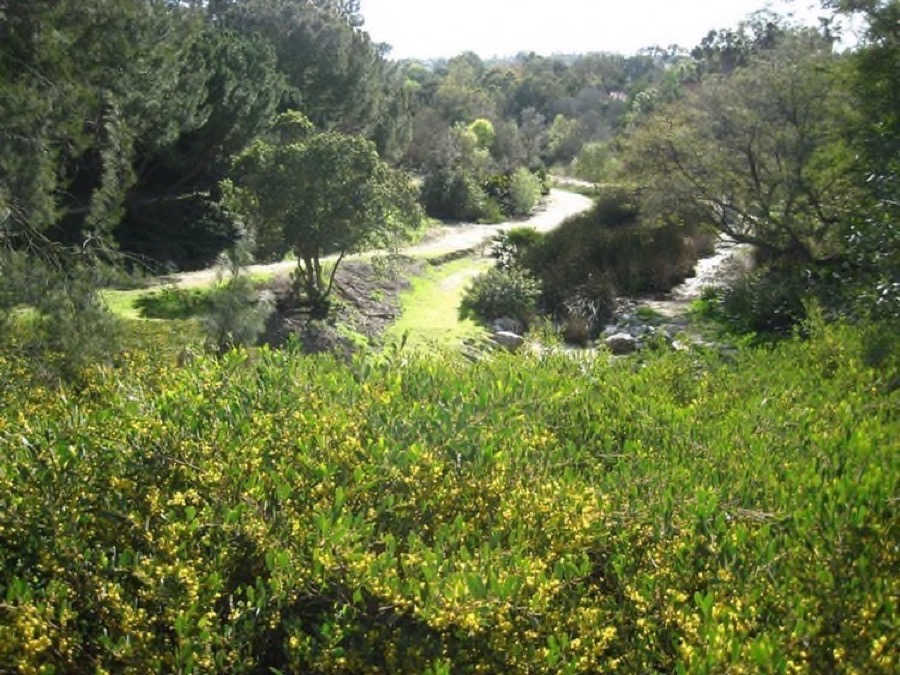 South Coast Botanic Garden March 2010