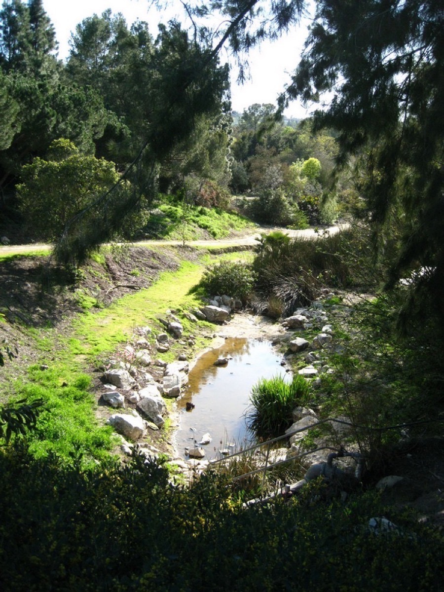 South Coast Botanic Garden March 2010