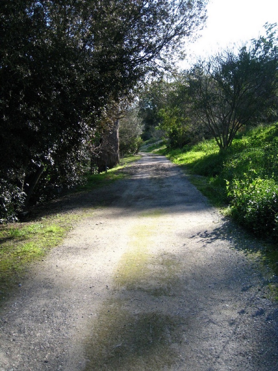 South Coast Botanic Garden March 2010