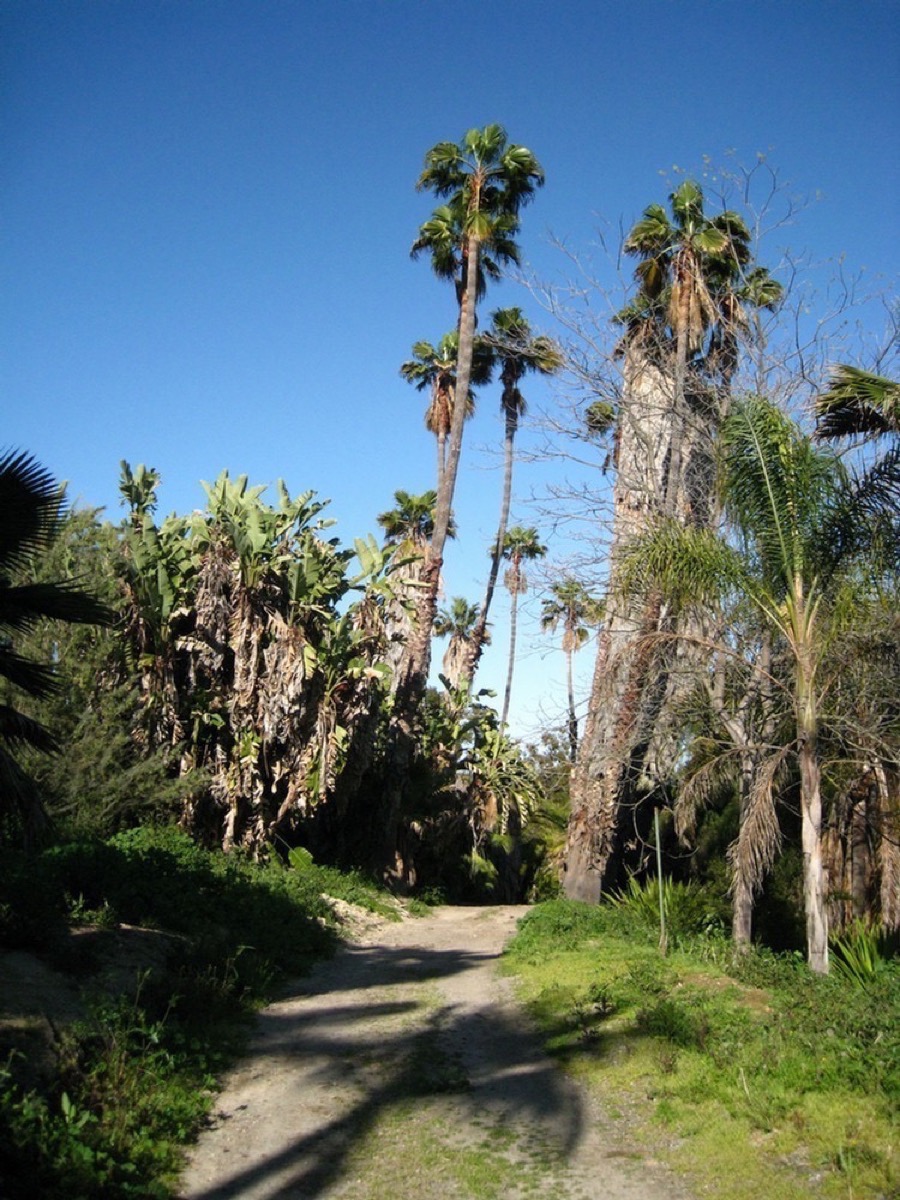 South Coast Botanic Garden March 2010