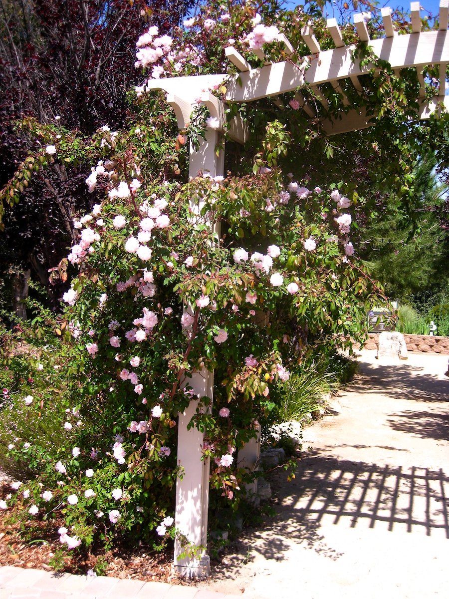 South Coast Botanic Garden April 2012