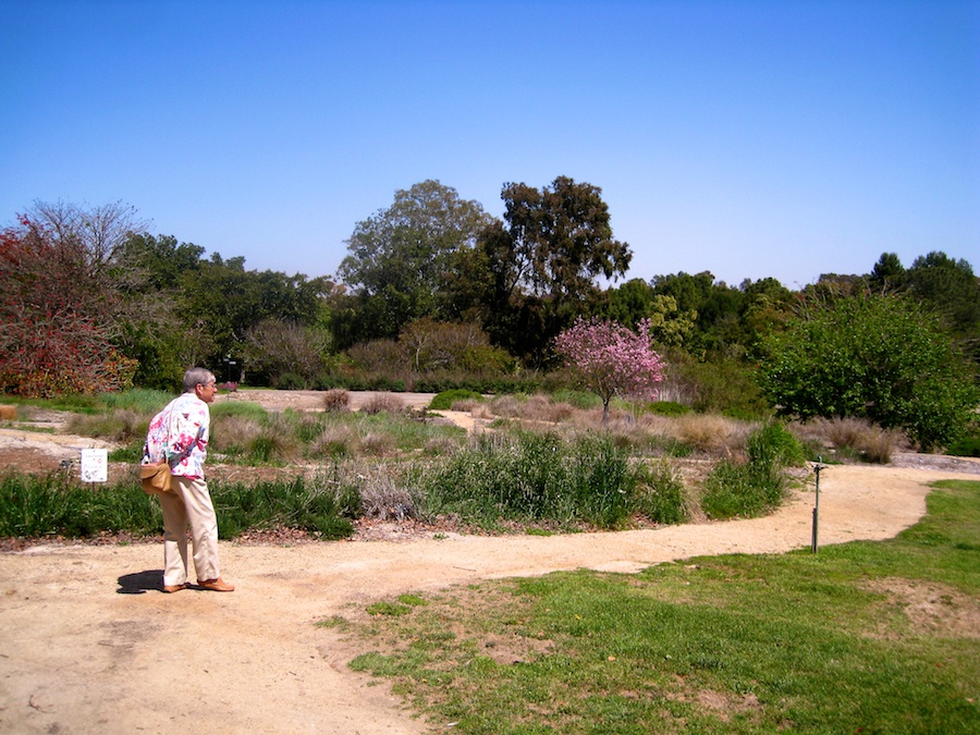 South Coast Botanic Garden April 2012