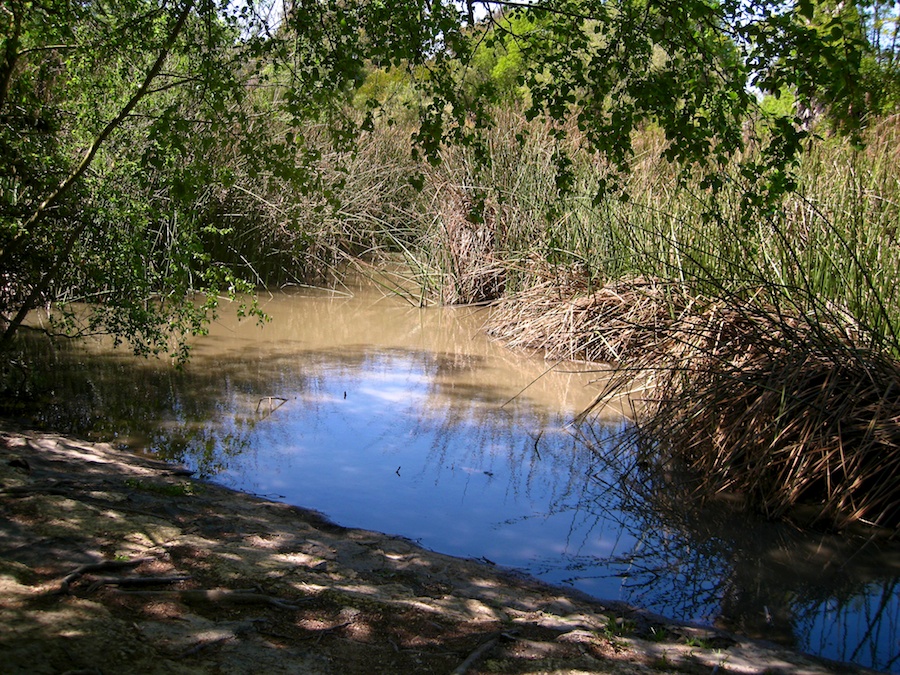 South Coast Botanic Garden April 2012