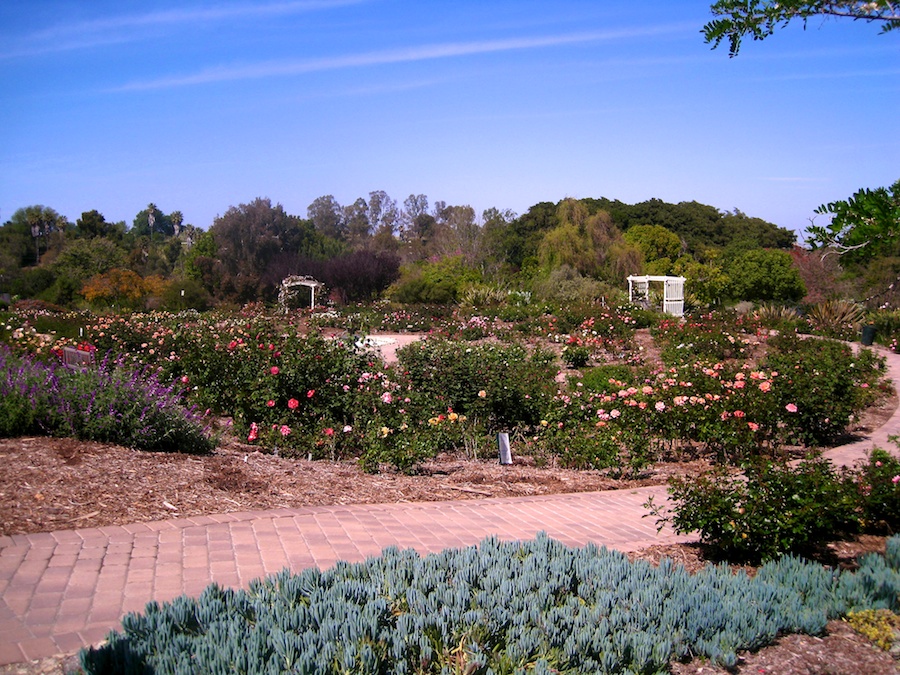 South Coast Botanic Garden April 2012