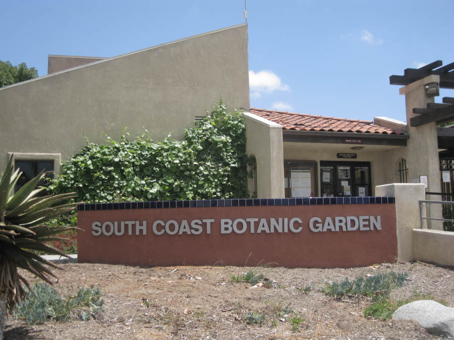 Visiting the South Coast Botanical Garden June 3rd 2015