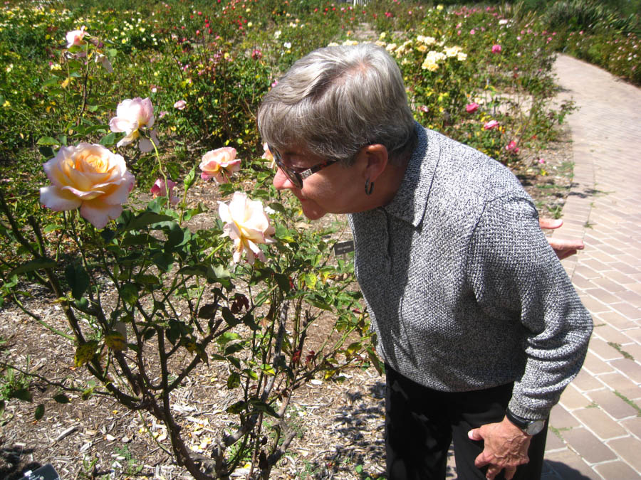 Visiting the South Coast Botanical Garden June 3rd 2015