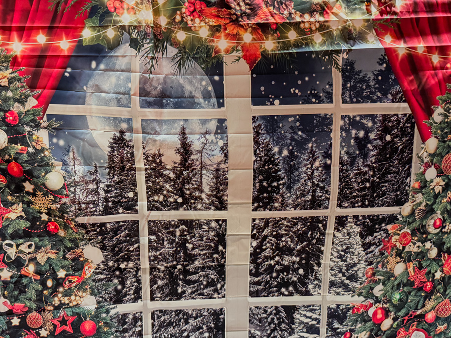 2025-11-16-starlighters-winter-ball