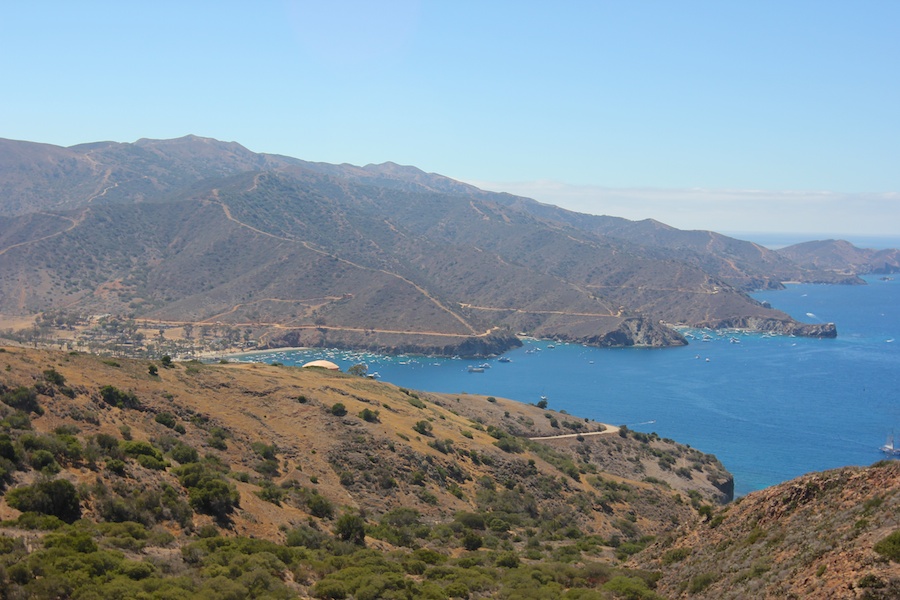 Birthday visit to Catalina 2014