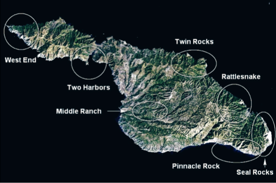 Birthday visit to Catalina 2014