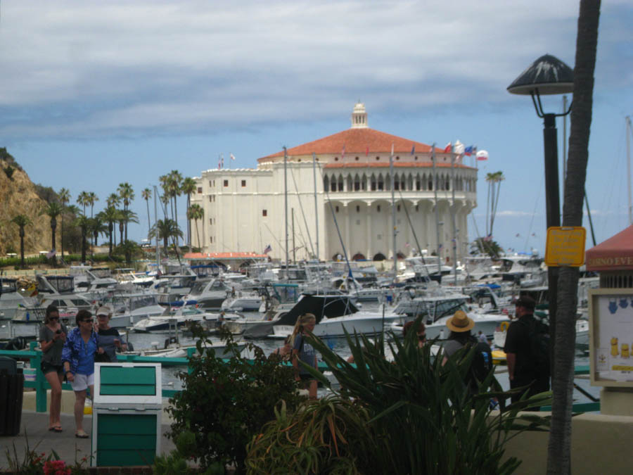 Avalon Catalina to celebrate Sue's birthday 7/10/2015