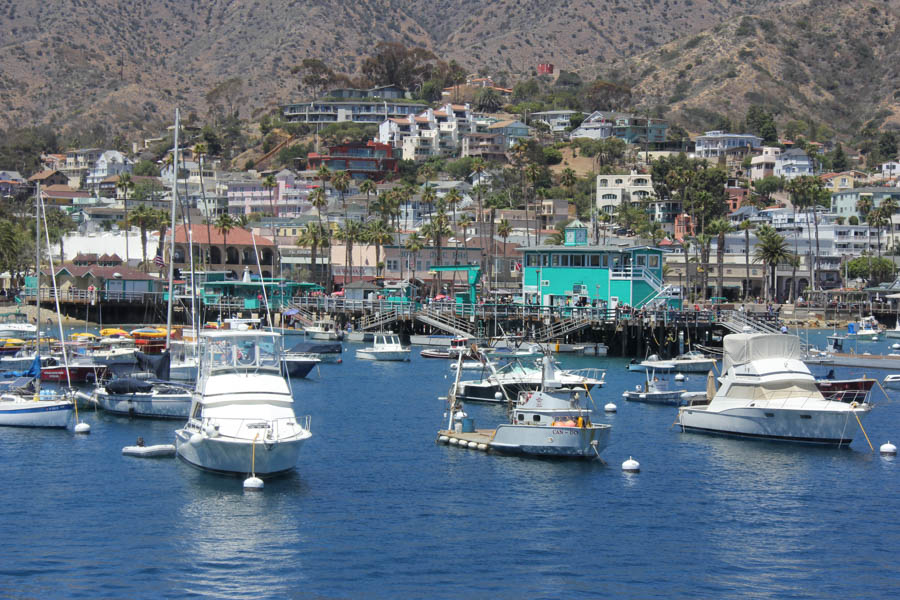 Sue celebrates her 65th birthday on Catalina